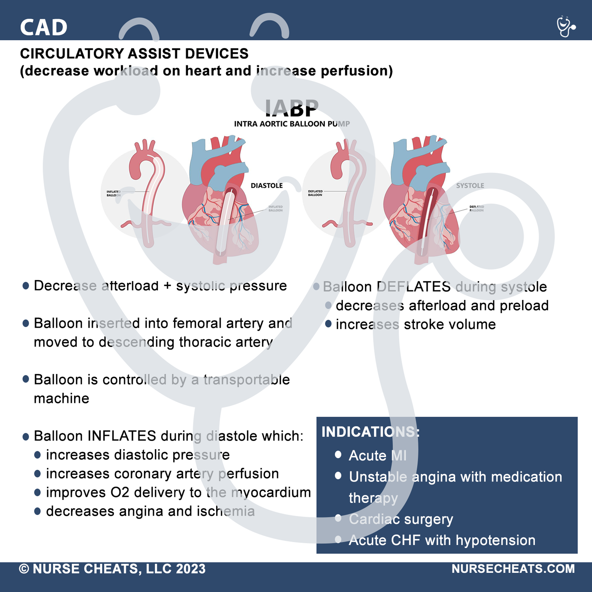 This badge buddy book contains comprehensive information about the ICU. It is perfect for ICU nurses, new nurses and critical care. This badge series contains General Tips, CPP, Hemodynamics, H's & T's, CAD, LVAD, Shock, SCI, Vents, ICU Drugs, ALines, and ACLS.