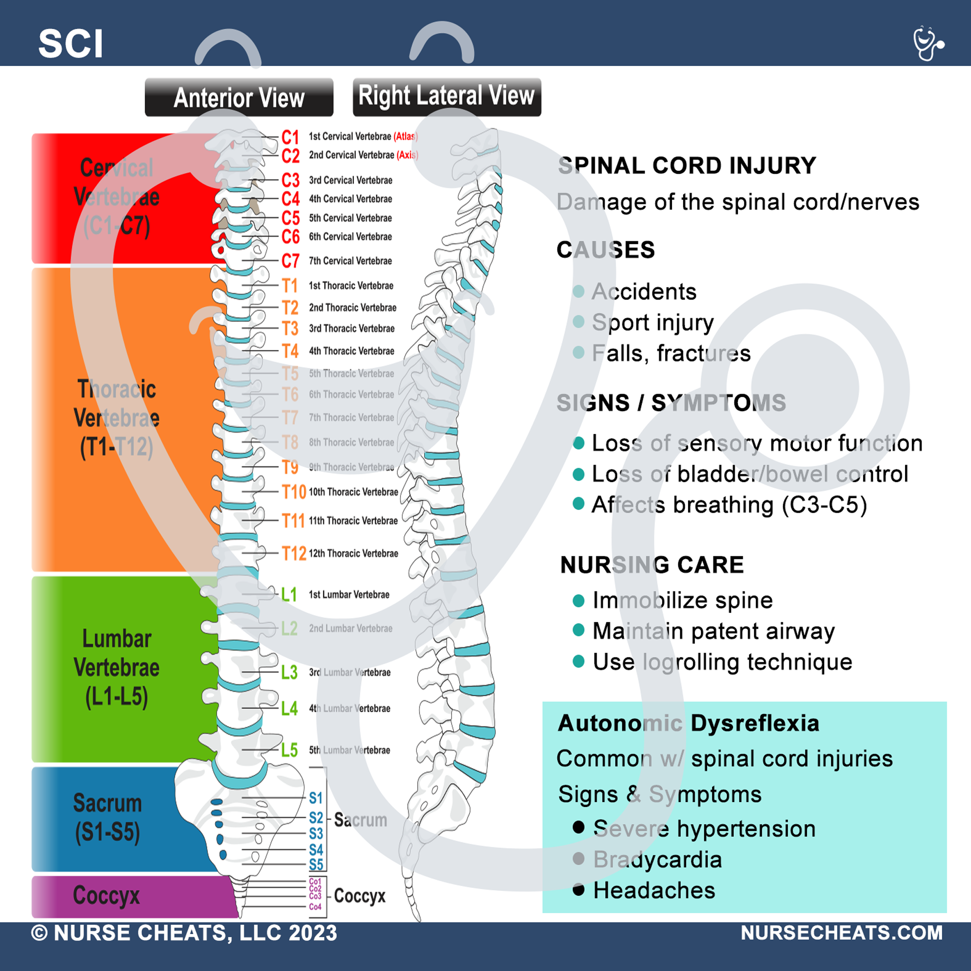 This badge buddy book contains comprehensive information about the ICU. It is perfect for ICU nurses, new nurses and critical care. This badge series contains General Tips, CPP, Hemodynamics, H's & T's, CAD, LVAD, Shock, SCI, Vents, ICU Drugs, ALines, and ACLS.