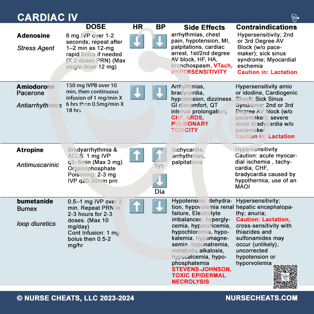 Our cardiac drips badge contains popular cardiac drips used in inpatient care.  Perfect for critical care and telemetry nurses working inpatient in a hospital.