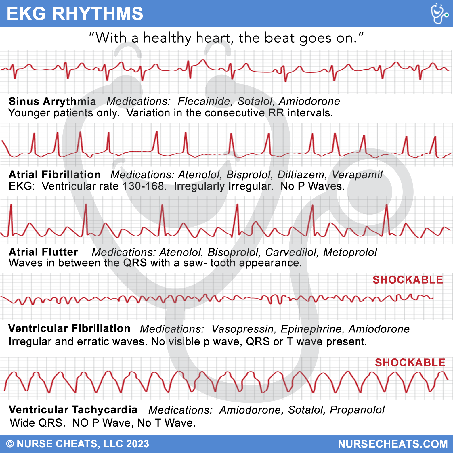 Our EKG Badge Buddy is perfect for new nurses in any specialty.