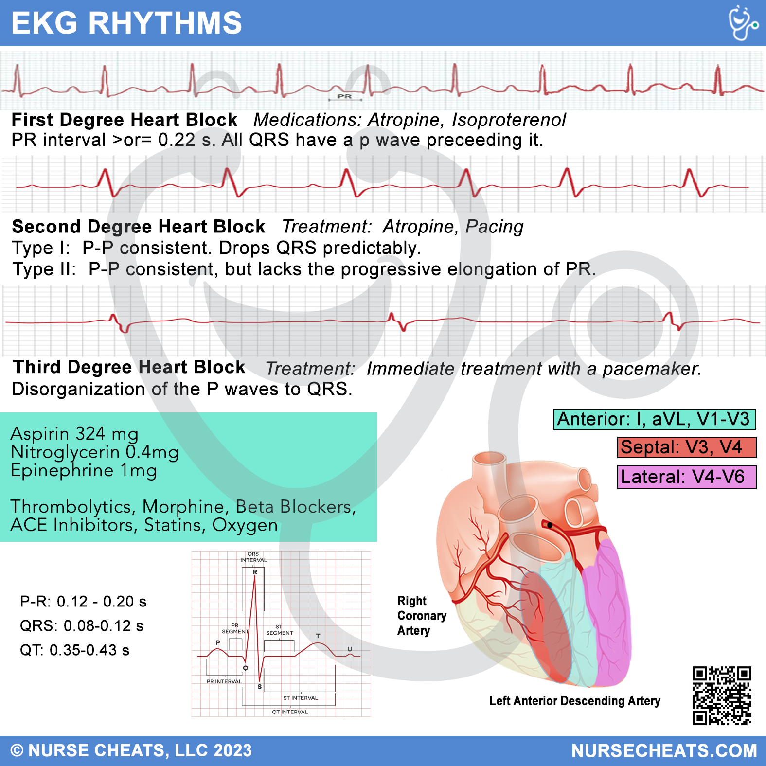Our EKG Badge Buddy is perfect for new nurses in any specialty.