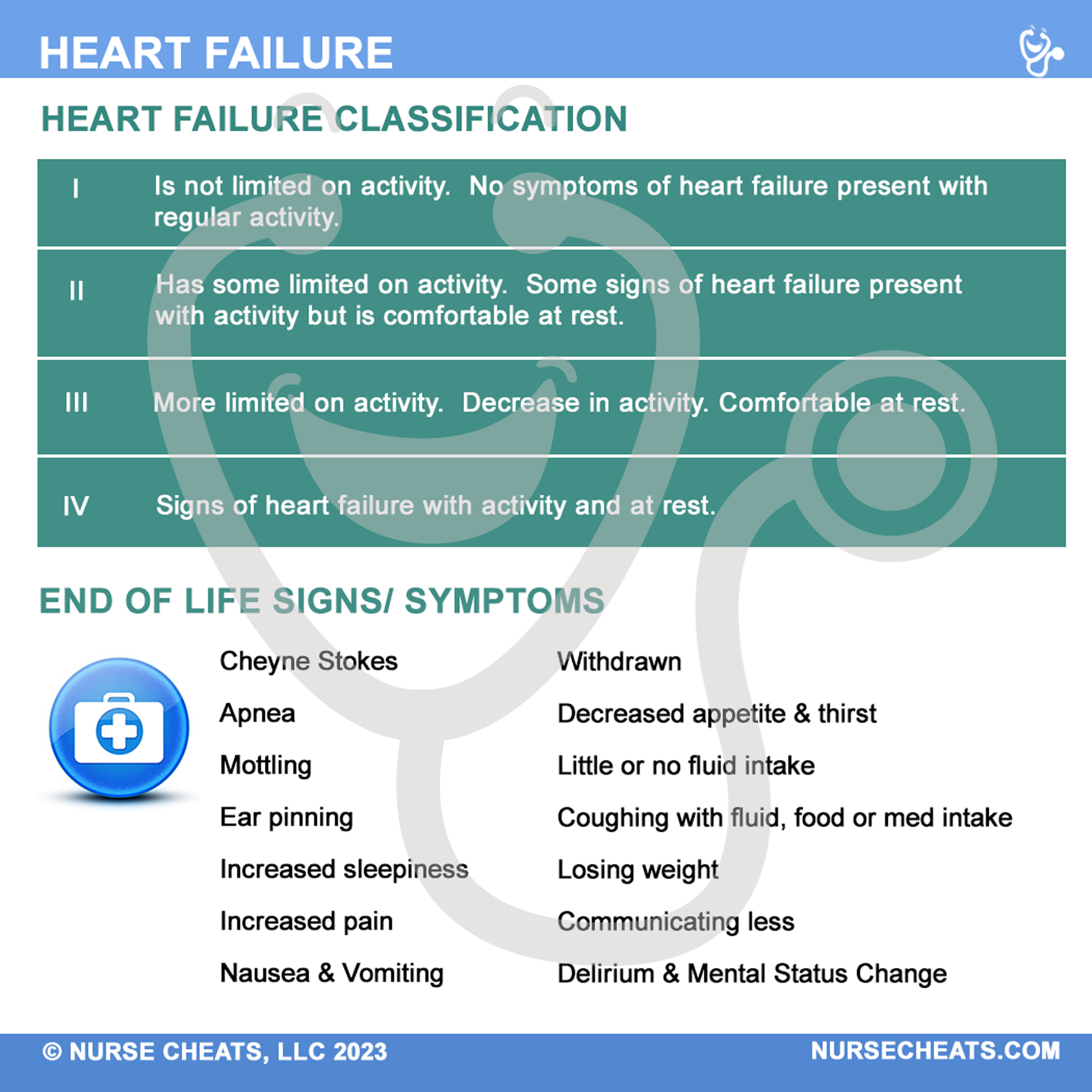 Hospice - Symptom Management Badge