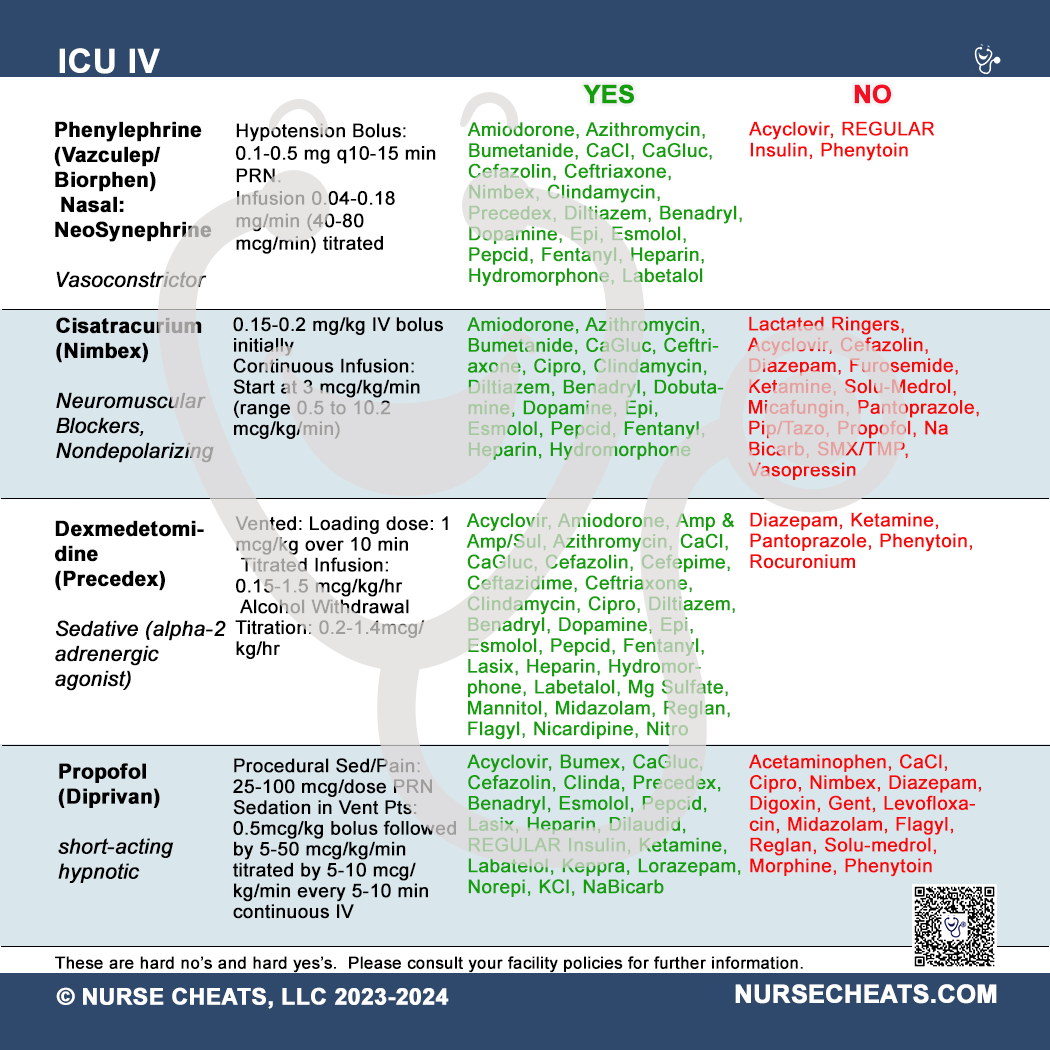 Our Critical Care bundle includes our ICU Badges, ICU Brain Sheet and IV Drips for the ICU and critical care.