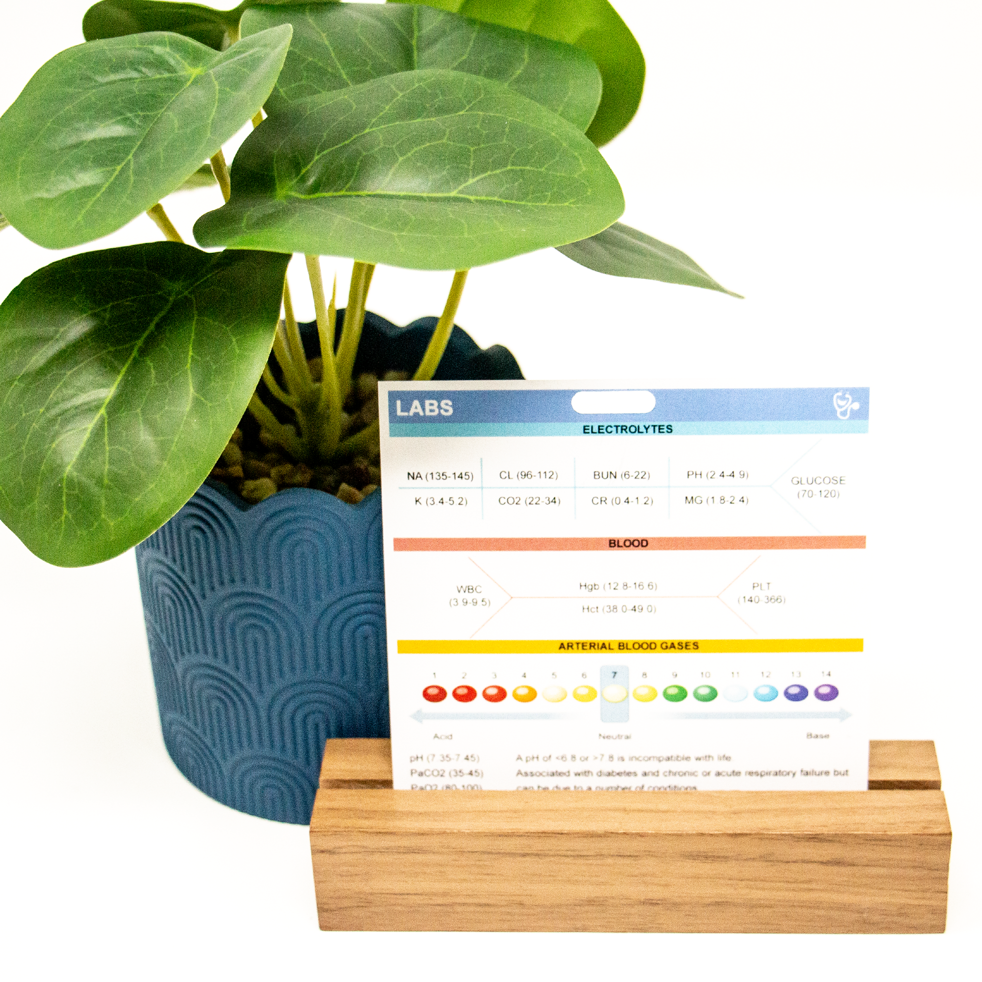 Side one of our Lab Values Badge buddy contain Electrolytes, Blood and Arterial Blood Gases.