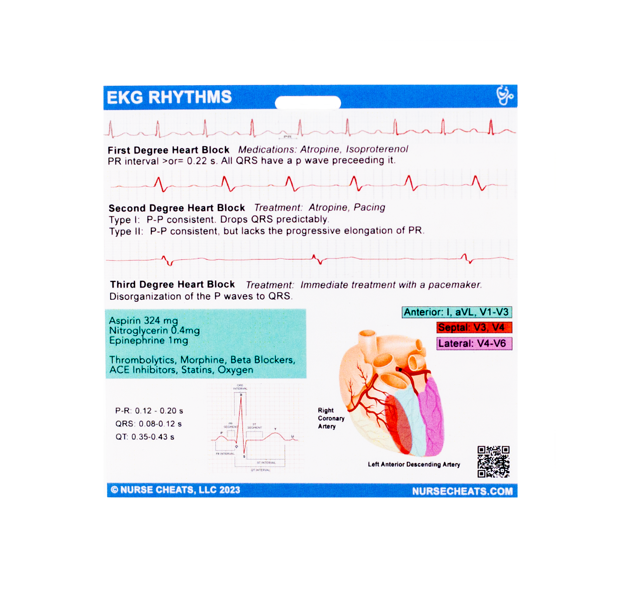Side 2 of our EKG Badge Buddy contains Lead vs Infarction area, Heart Blocks, and QRS measurement information.