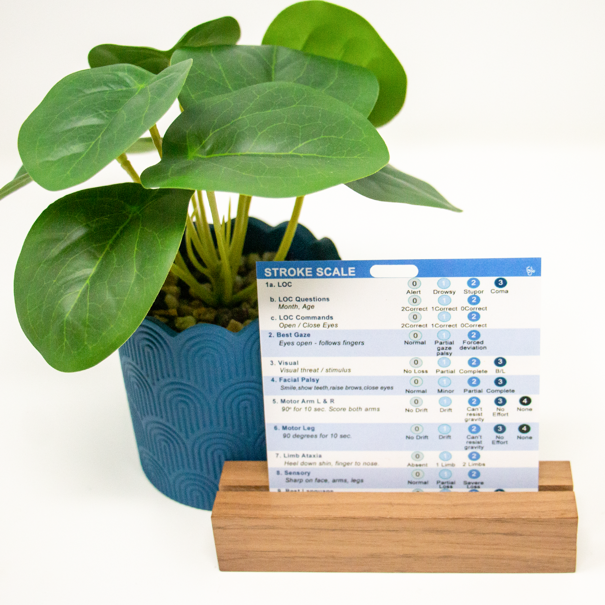 This is a badge companion for the Stroke Scale. Complete stroke scale and symptoms on the back. This badge is perfect for all nurses in all specialties.