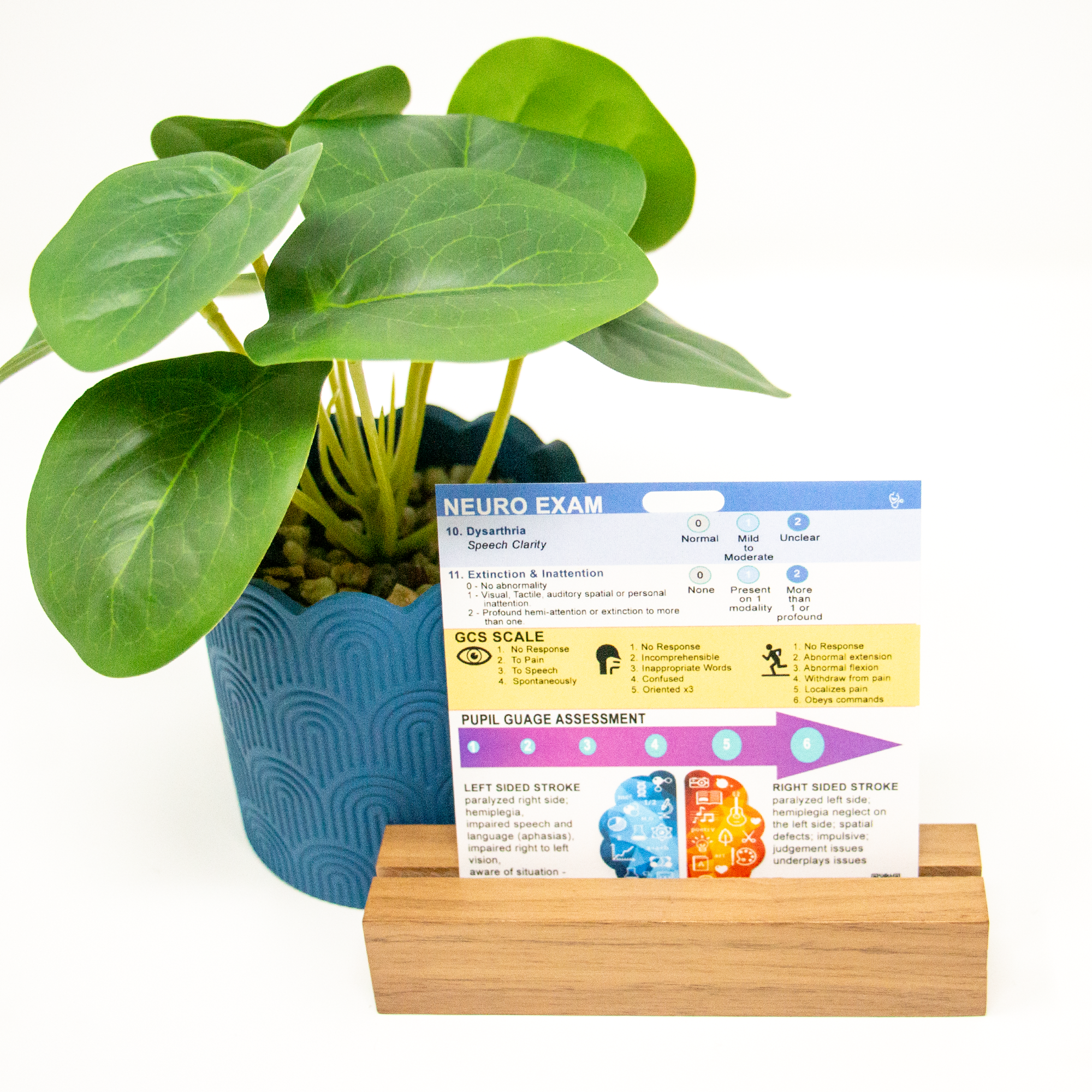 Side two of our stroke scale badge buddy contains scale items 10 & 11, as well as GCS, and stroke symptoms by side of infarction.