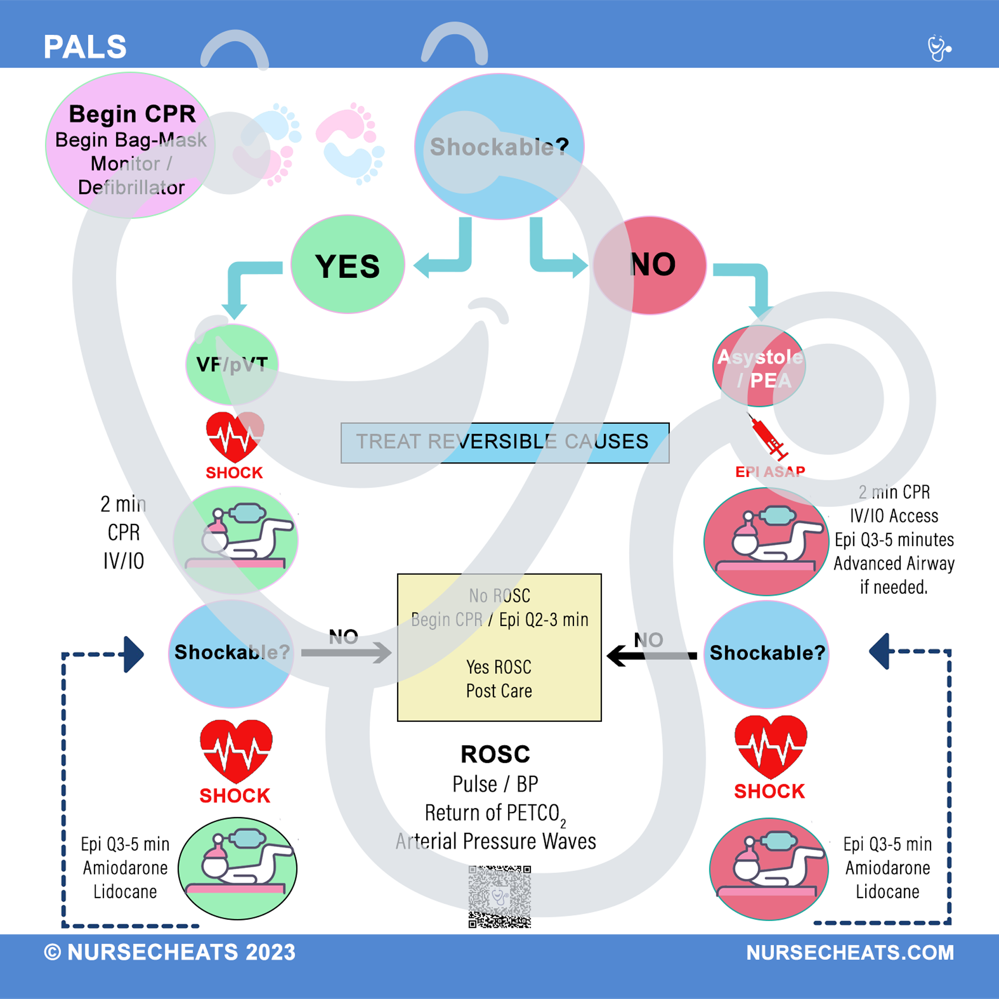 Our PALS algorithm badge has the information you need for a pediatric code. On the front is the algorithm. On the back are meds, joules, AED instructions, pad placement, and CPR.