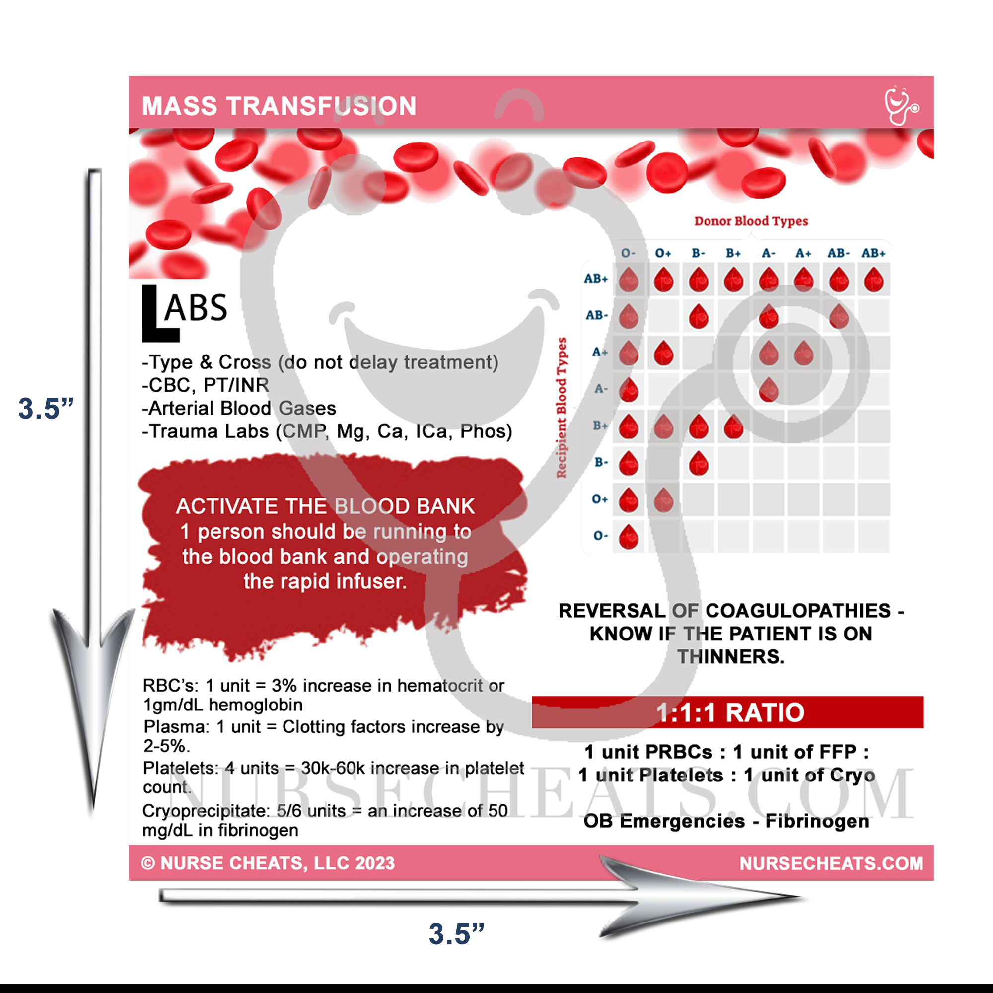 Our mass transfusion protocol badge buddy measures 3.5" W x 3.5" H