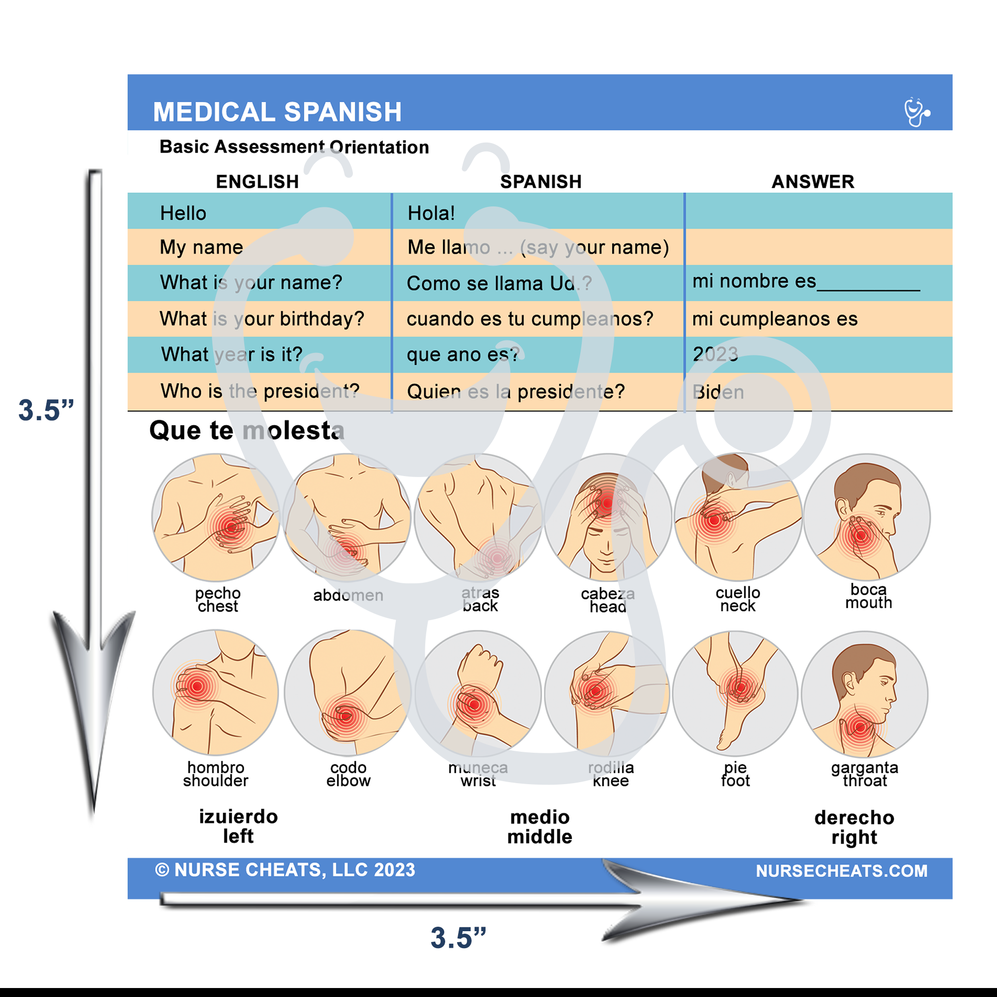 Our medical spanish badge buddy measures 3.5" W x 3.5" H