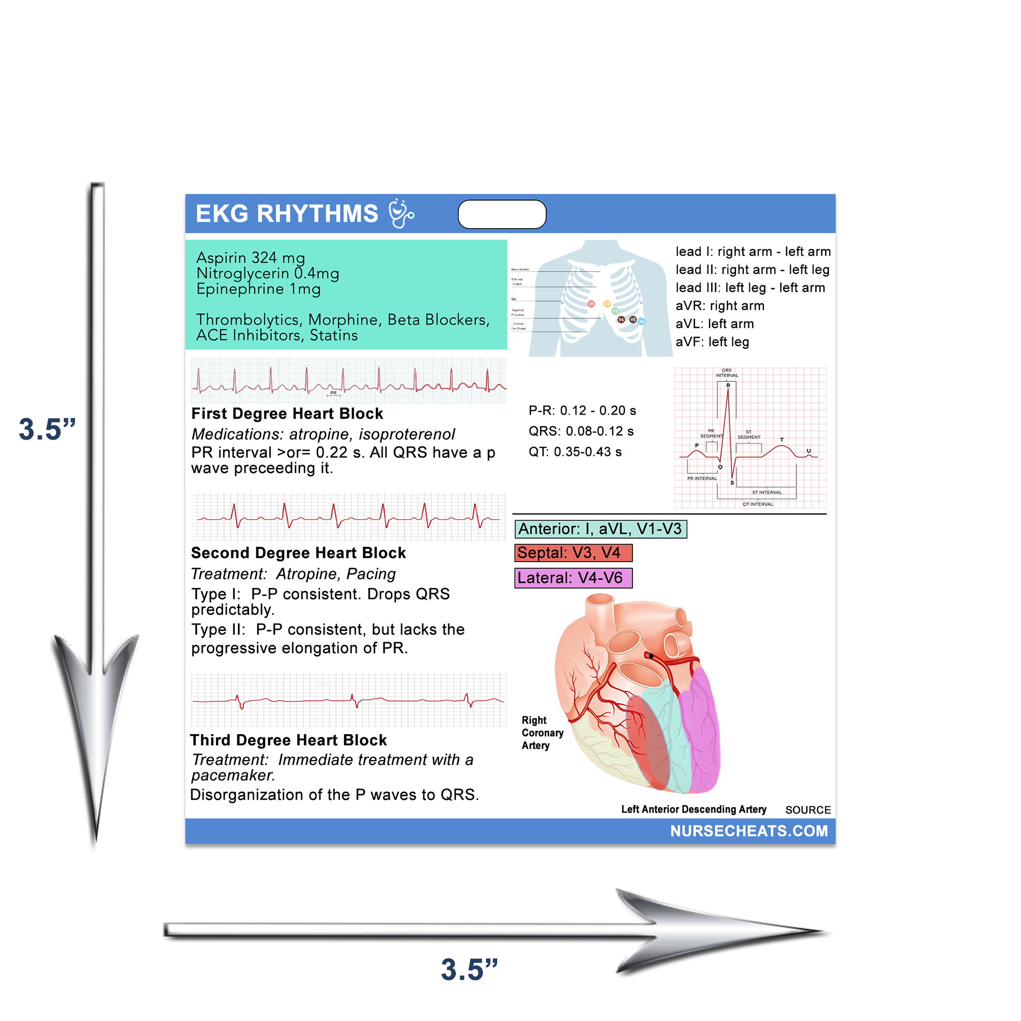 Our EKG Badge Buddy measures 3.5" x 3.5".