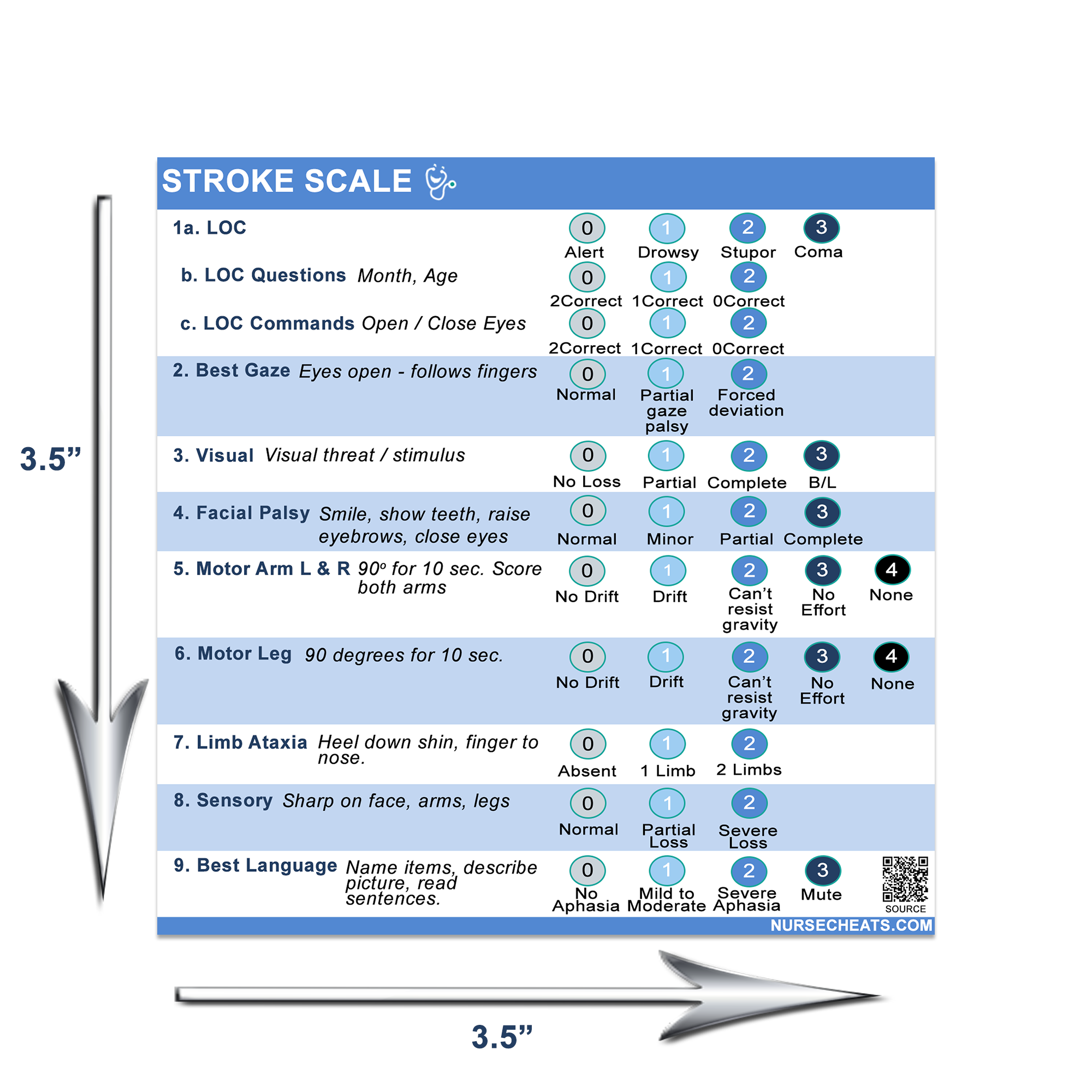 Our stroke scale badge buddy measures 3.5" W x 3.5" H.