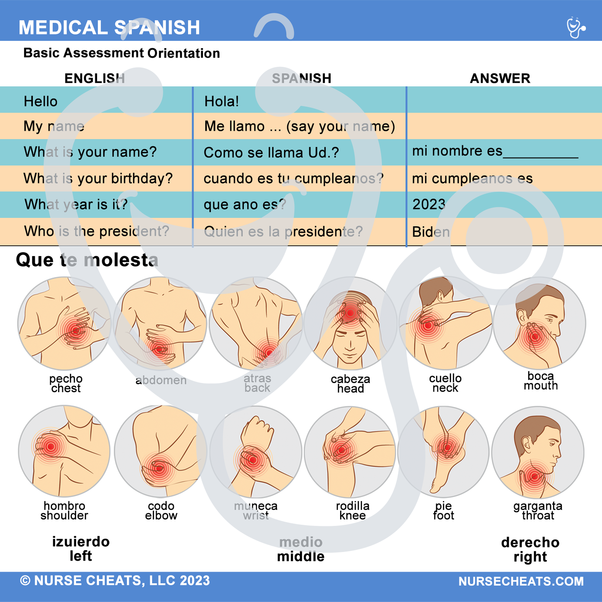 Side 1 contains an Orientation Assessment and Problem area with pictures.