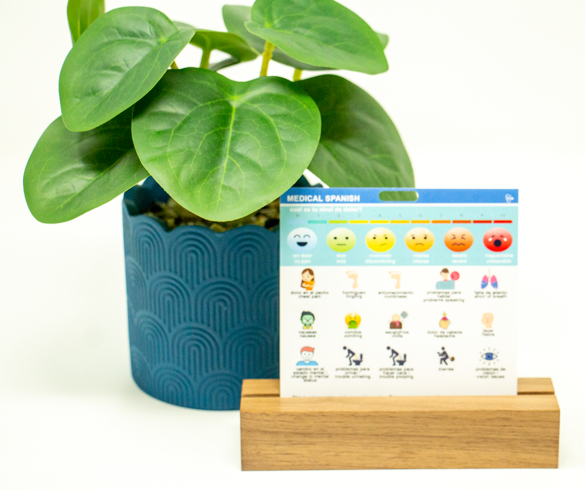 This medical Spanish badge has basic assessment information to assess for emergencies. This is not intended to replace an interpreter.