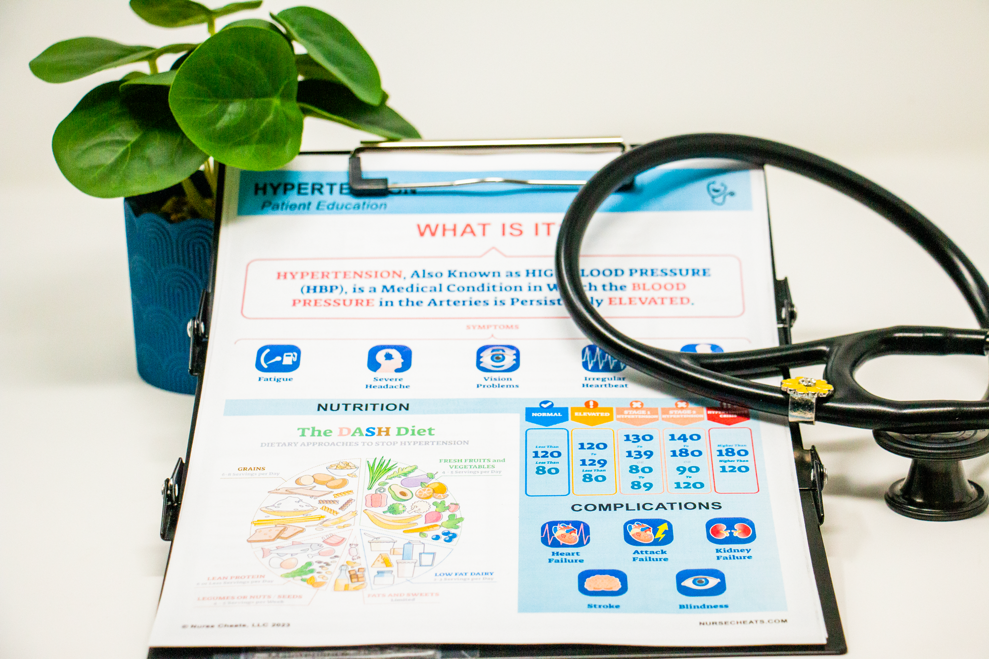This Hypertension bundle includes a patient education sheet with medications, complications, symptoms, and more. It also includes a log for the patient to track daily blood pressure and medications. Intended for Home Health Care Nurses it is a valuable resource for all nurses that do education as part of their job.