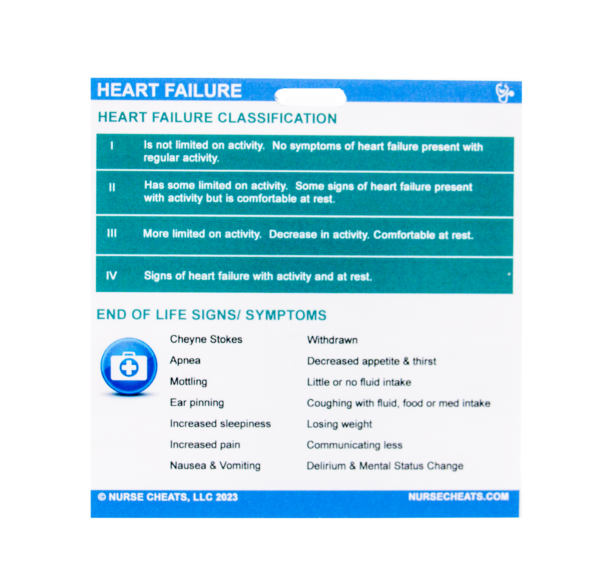 This small bundle comes with three badge buddies and a downloadable form for copying. The included badge buddies are the FAST Badge, PPS Badge, and Hospice Pain Management.