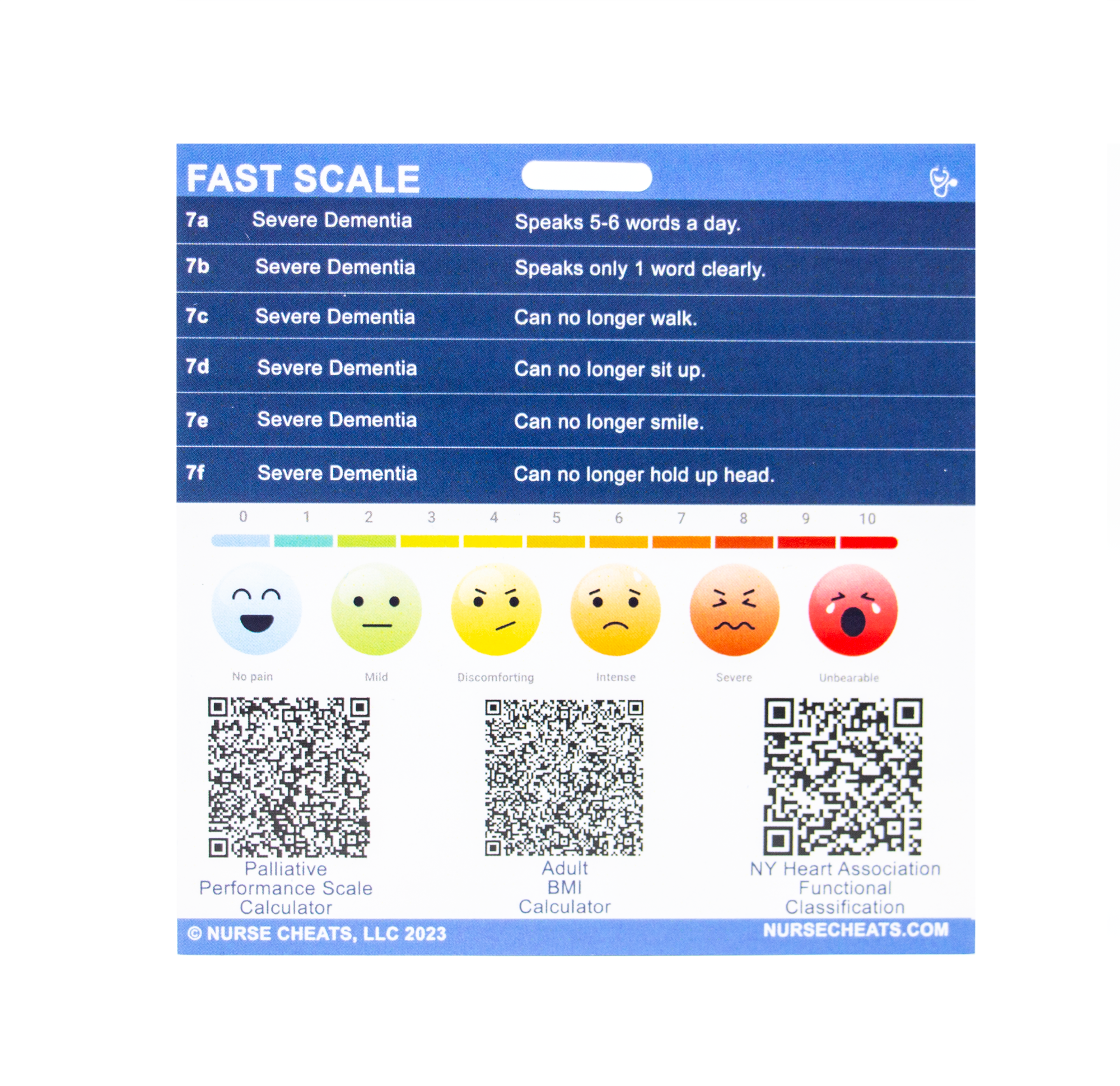 This small bundle comes with three badge buddies and a downloadable form for copying. The included badge buddies are the FAST Badge, PPS Badge, and Hospice Pain Management.