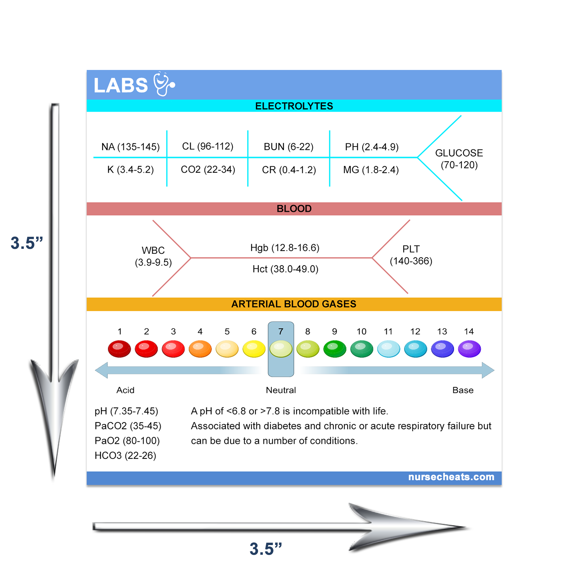 Our lab values badge buddy measures 8.5" W x 11" H.