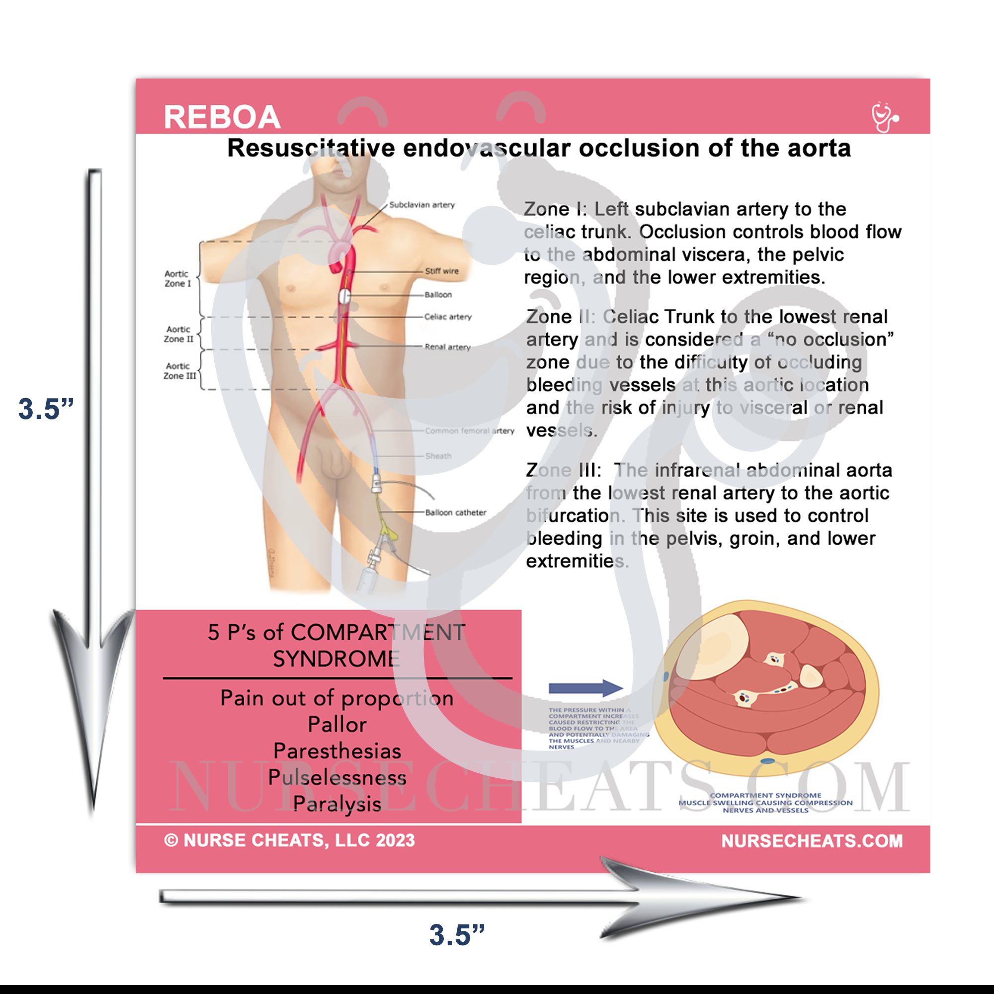 Our REBOA badge buddy measures 3.5" w x 3.5" h.