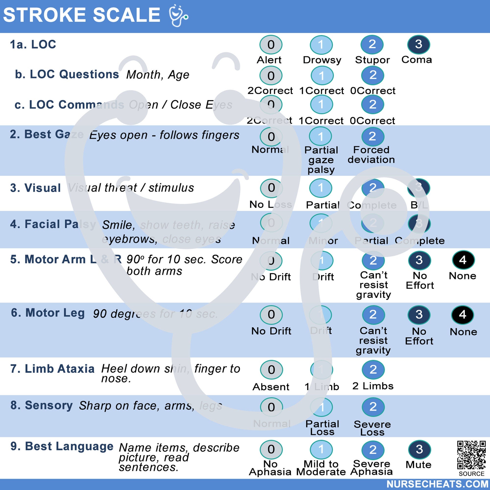 Side one of our stroke scale badge buddy contains scale items 1-9.