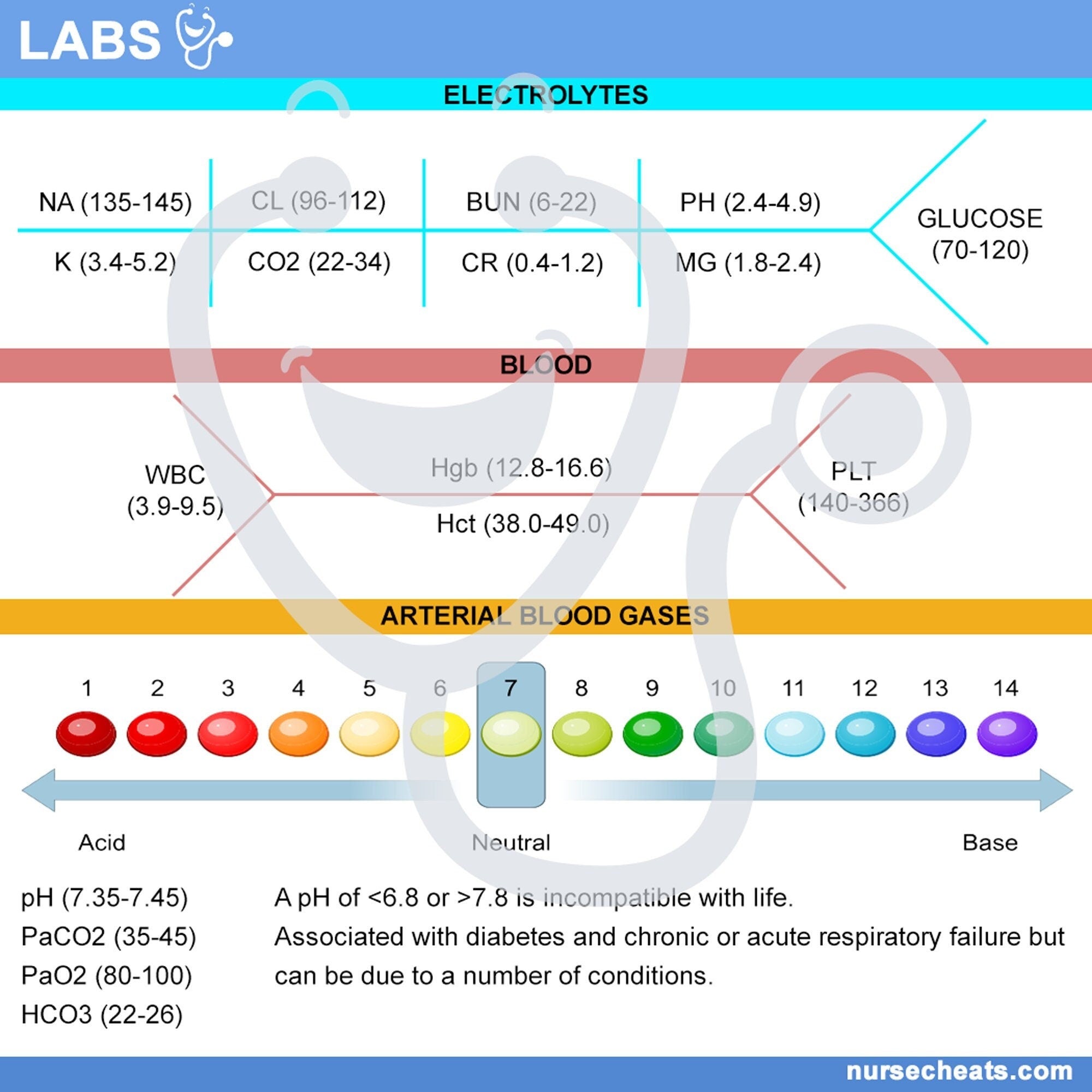 Side one of our Lab Values Badge buddy contain Electrolytes, Blood and Arterial Blood Gases.