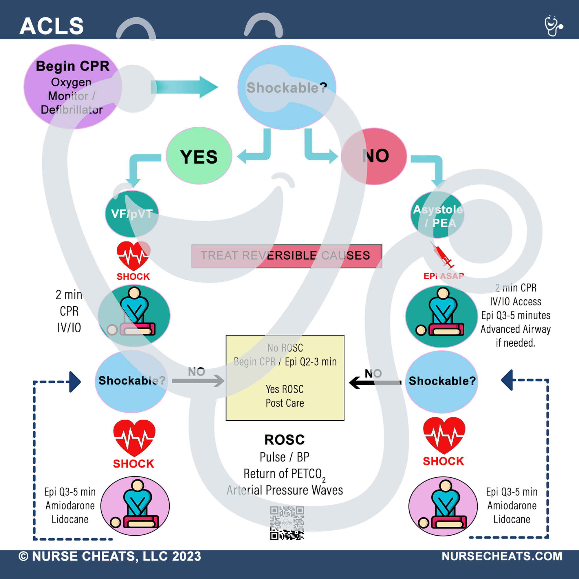 This badge buddy book contains comprehensive information about the ICU.  It is perfect for ICU nurses, new nurses and critical care.  This badge series contains General Tips, CPP, Hemodynamics, H's & T's, CAD, LVAD, Shock, SCI, Vents, ICU Drugs, ALines, and ACLS.