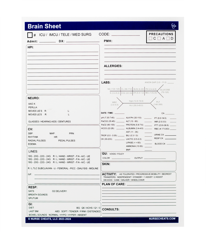 Brain Sheet Lab ICU Brain Sheet (Synthetic)