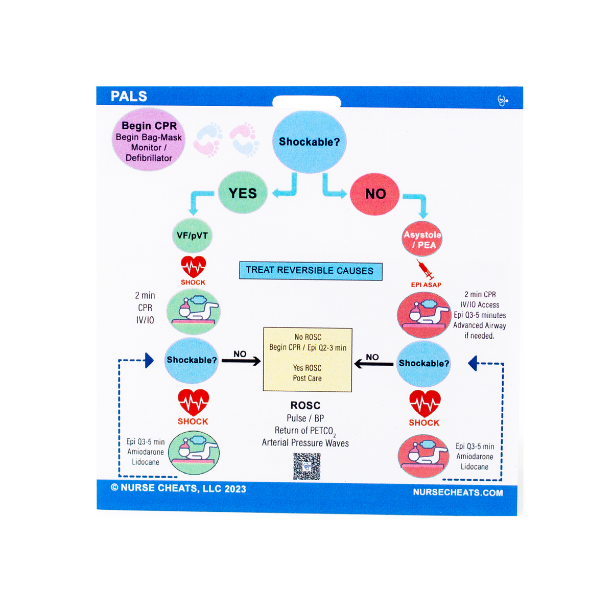 健康・医学 PALS PALS Algorithm Badge Companion