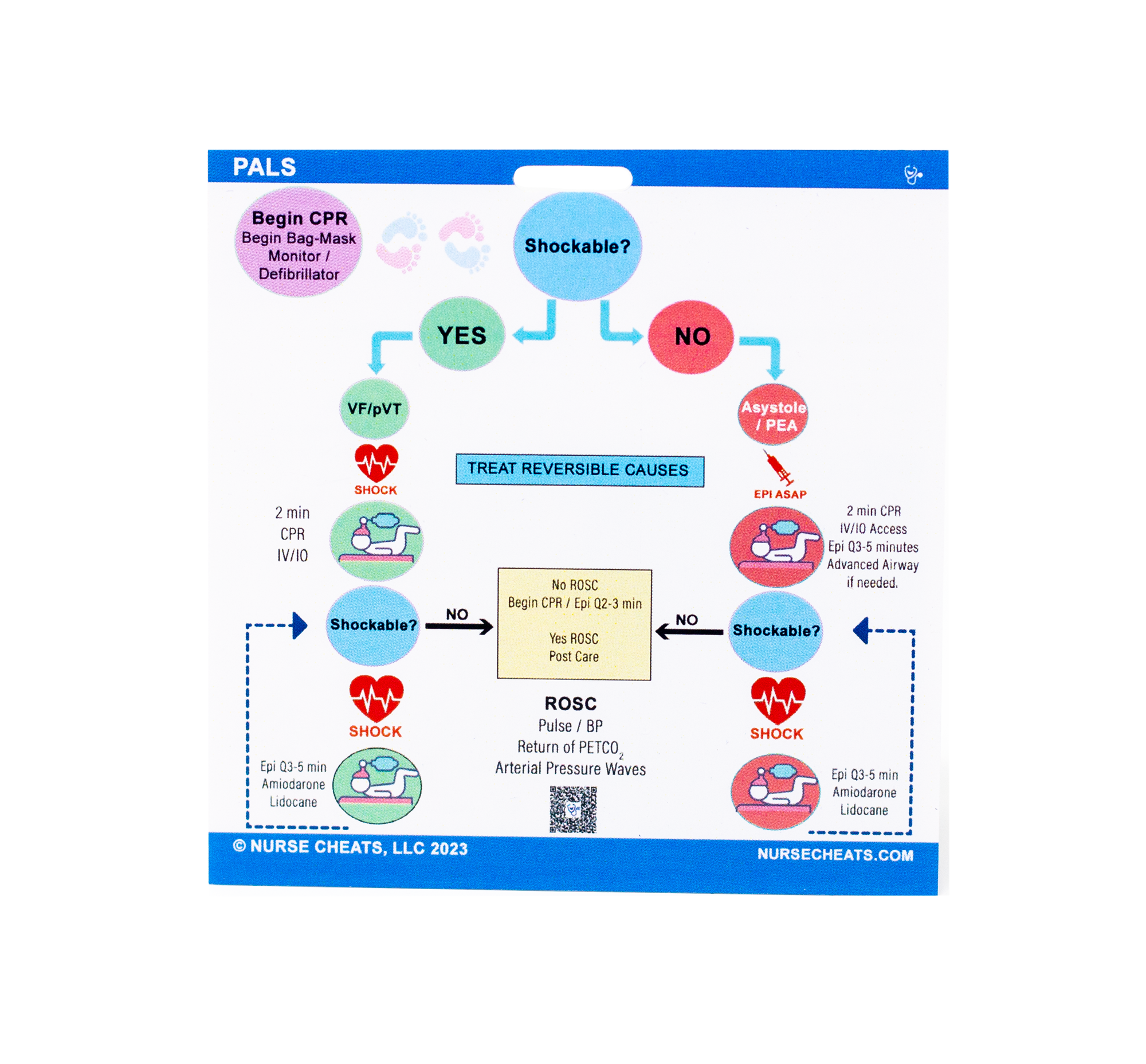 Our PALS algorithm badge has the information you need for a pediatric code. On the front is the algorithm. On the back are meds, joules, AED instructions, pad placement, and CPR.
