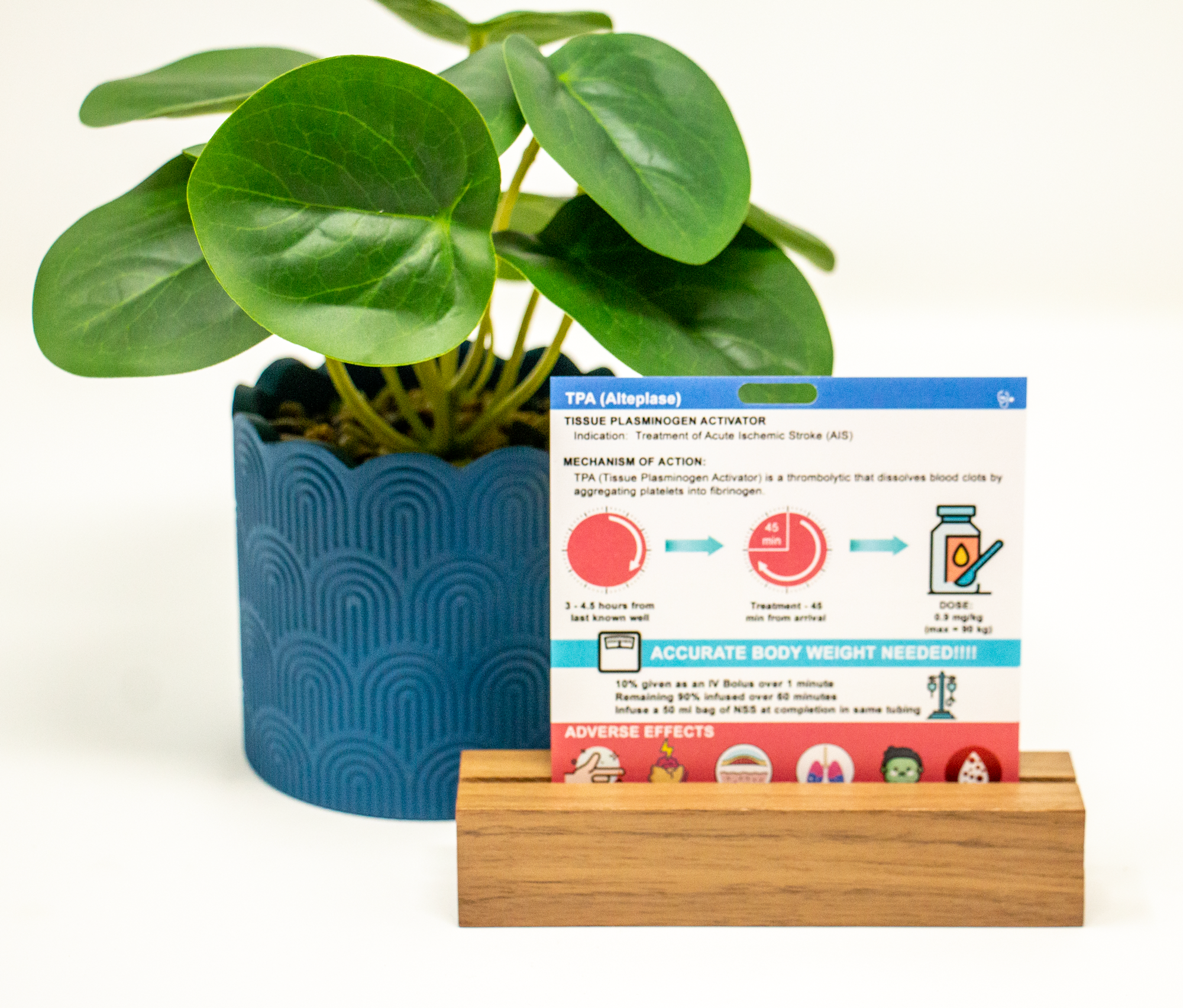 Side one of our TPA Administration badge buddy contains timing and mechanism of action, dosing directions and adverse effects of TPA.