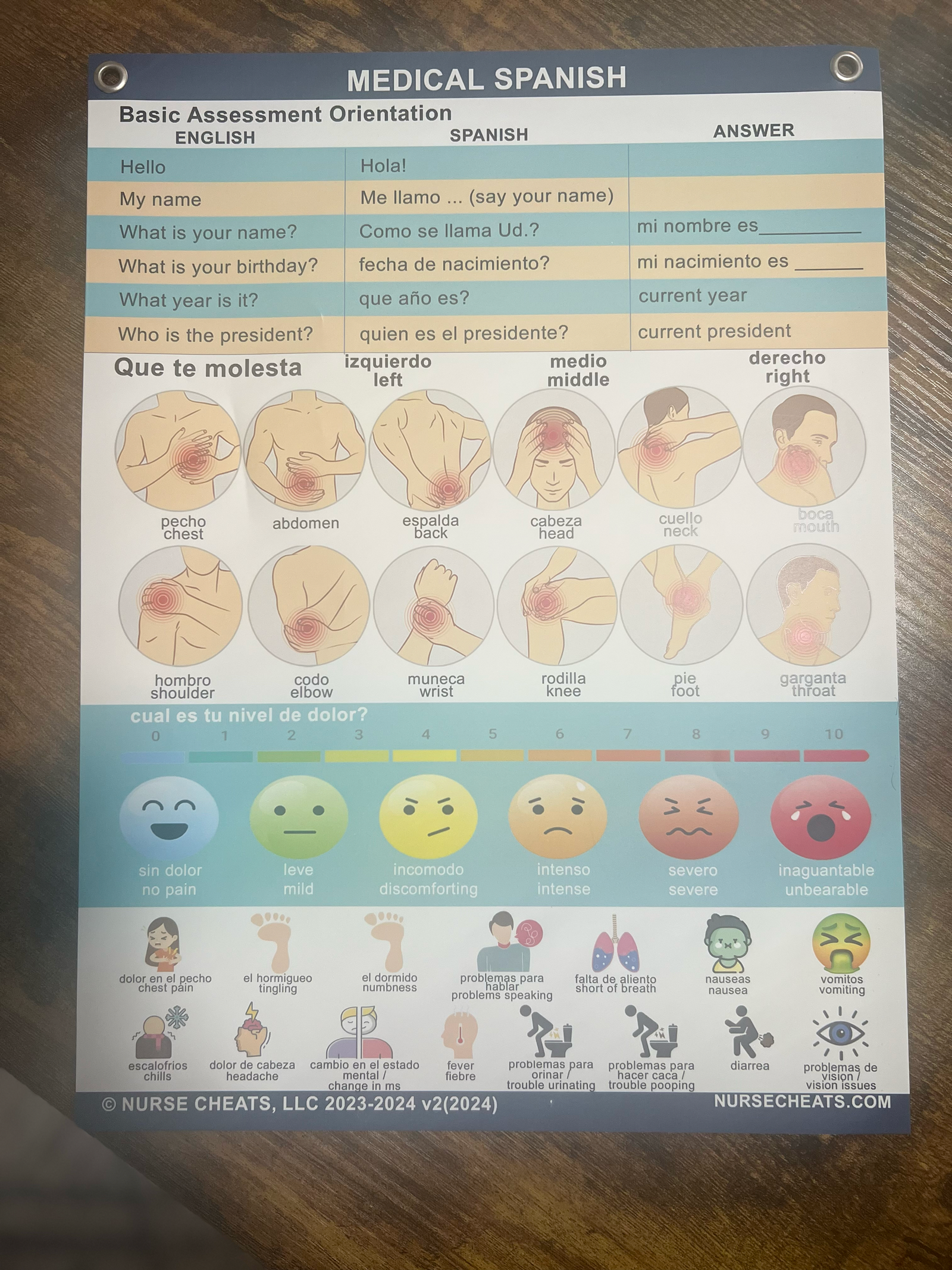 Medical Spanish Wall Chart