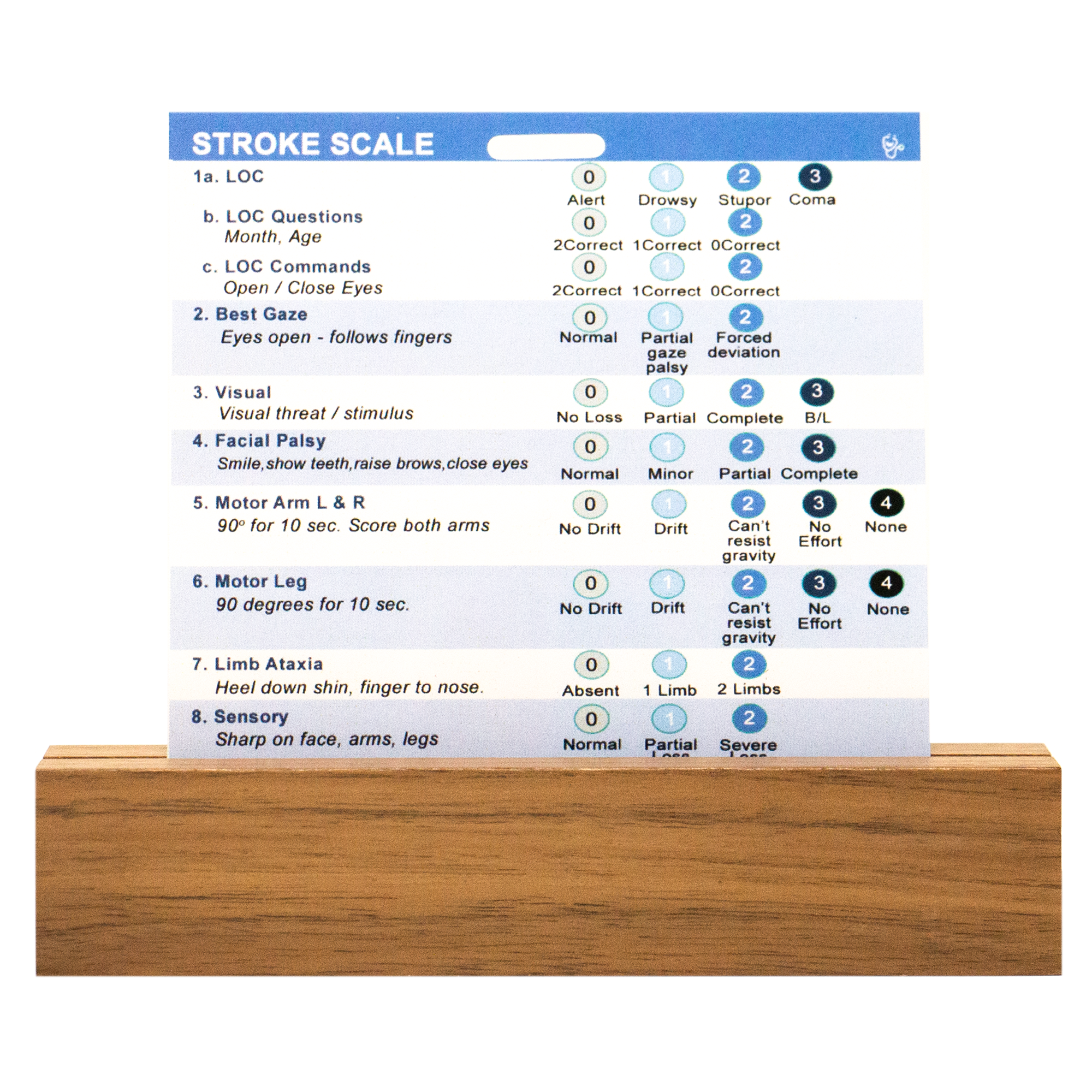 Side one of our stroke scale badge buddy contains scale items 1-9.