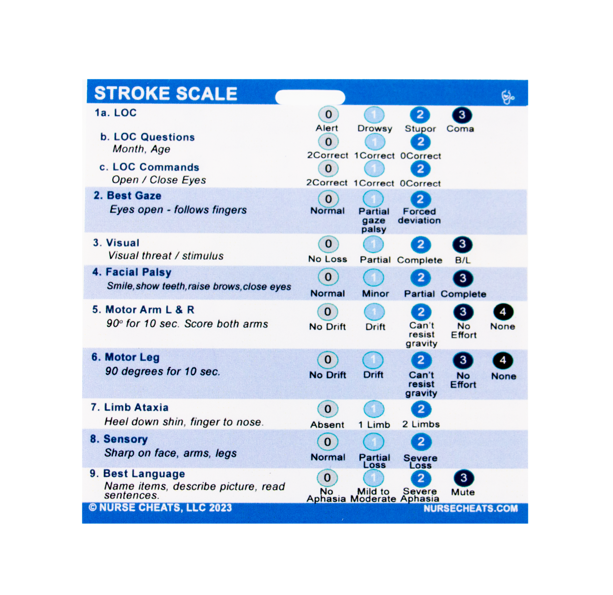 Our best seller at a discounted price, this badge companion features the Stroke Scale in its entirety.  On the back, it has a GCS scale and left and right stroke symptoms.  It is a must-have for all nurses.