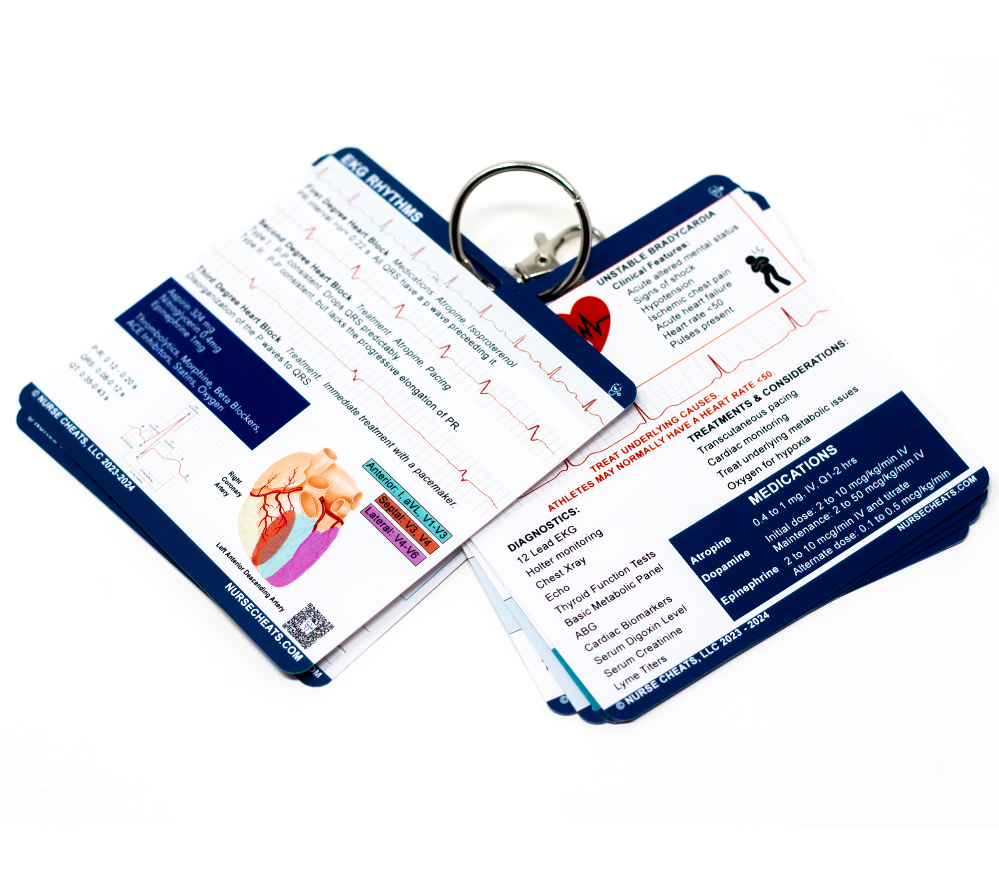 The standard edition of our cardiac badge book contains EKG tips, EKG Rhythms, Bradycardia, Tachycardia, MI, Levophed, and Cardiac Drips. (Our drips section has been confirmed by a board-certified Pharmacist).