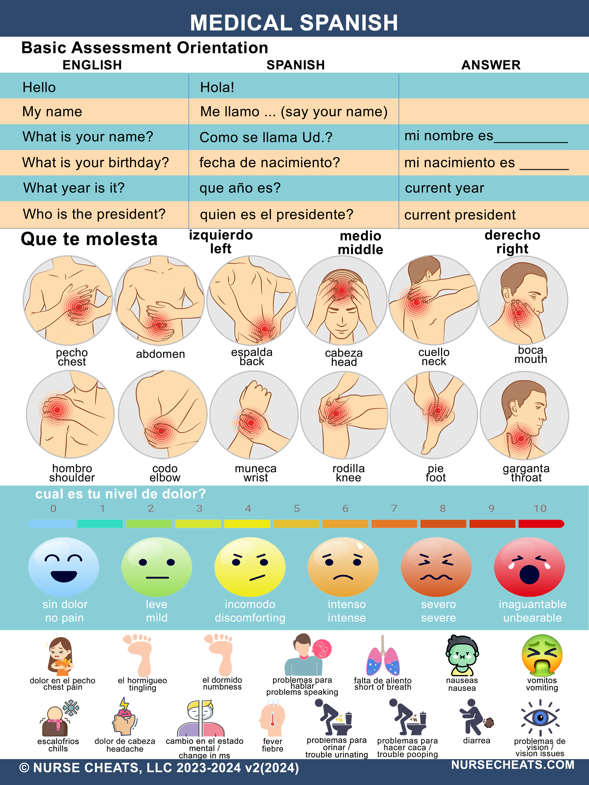 Medical Spanish Wall Chart