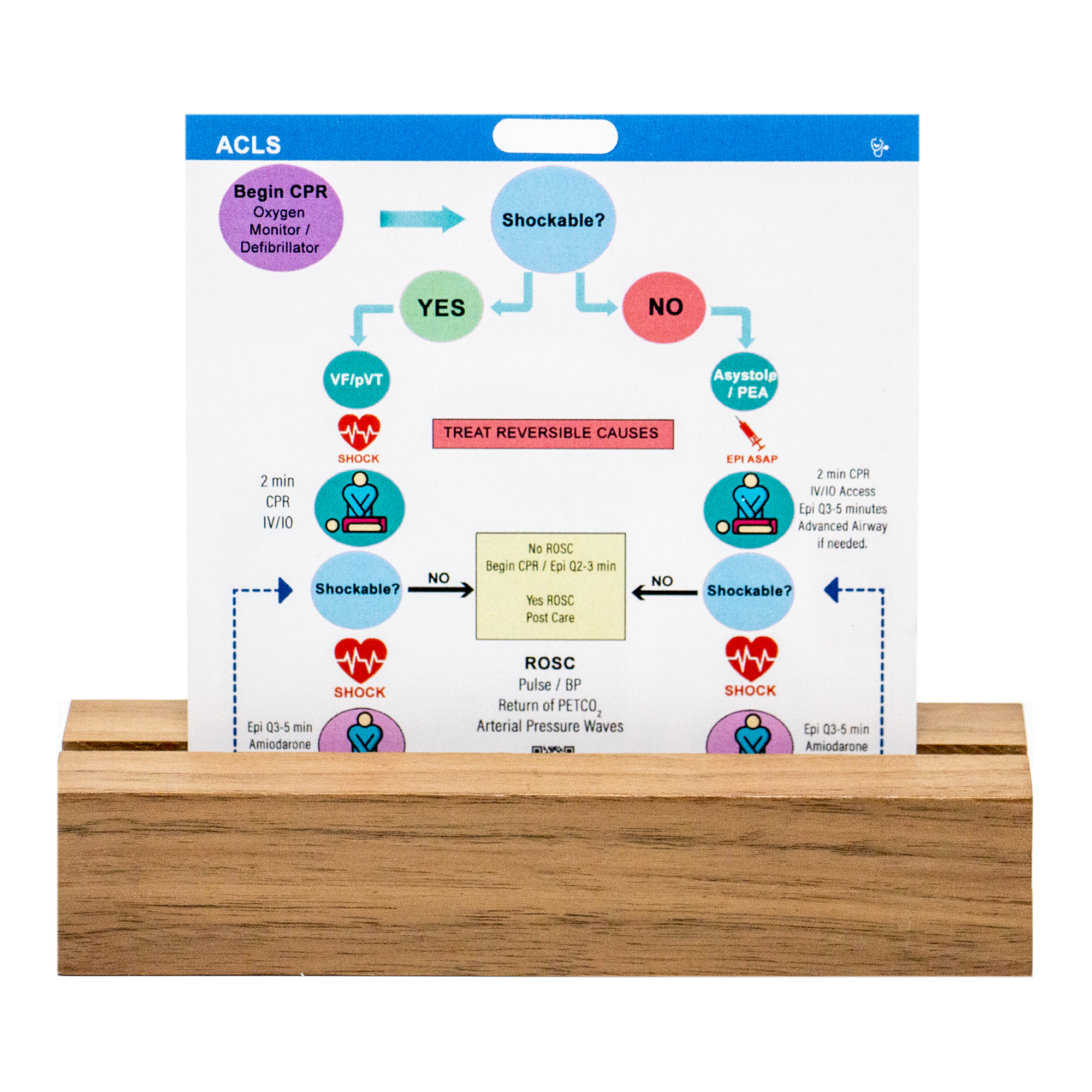 This badge is the algorithm for ACLS (Advanced Cardiovascular Life Support). On the back is the first five minutes of a code. This is a MUST-HAVE for nurses.  Our best selling badge at a discounted price due to it being updated.