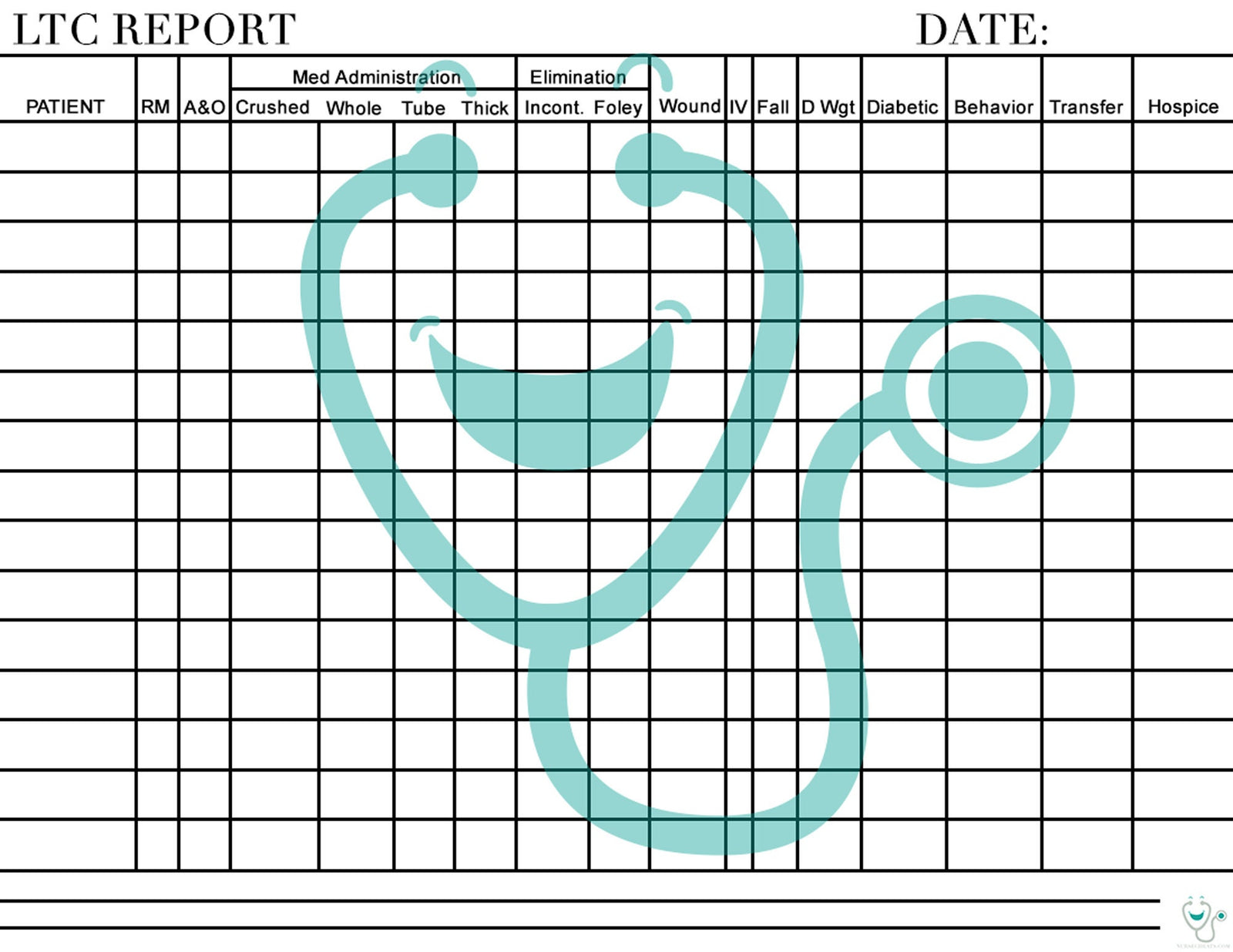 Long Term Care Report Sheet for Nurses- Digital download